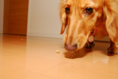 080203_32.jpg