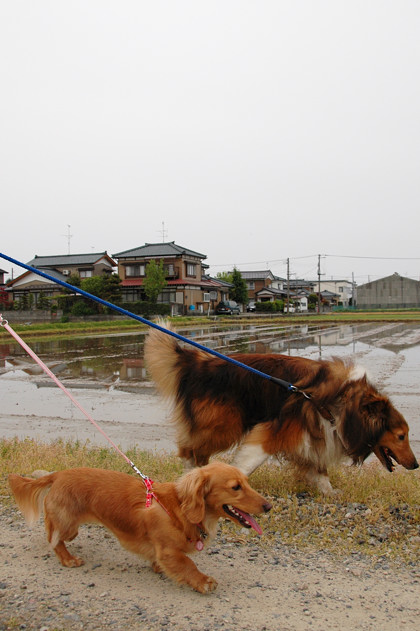 080503_3905.jpg