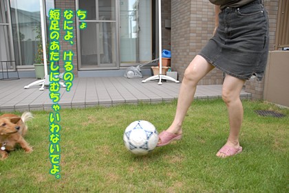 080815_04.jpg