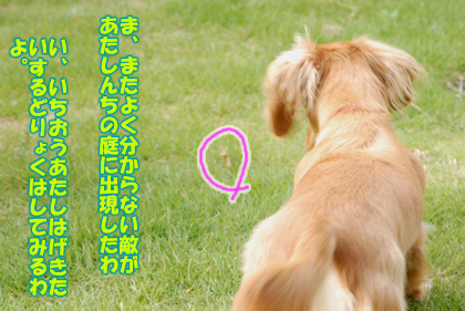 080928_01.jpg