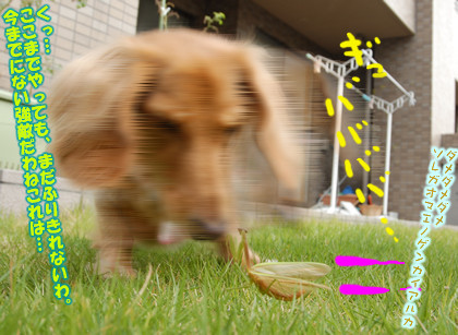080928_03.jpg