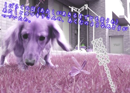 080928_11.jpg