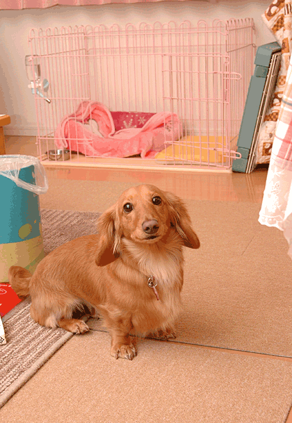 090323_2636.gif