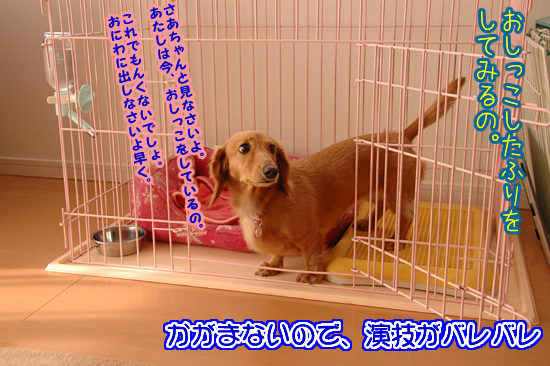 091006_03.jpg