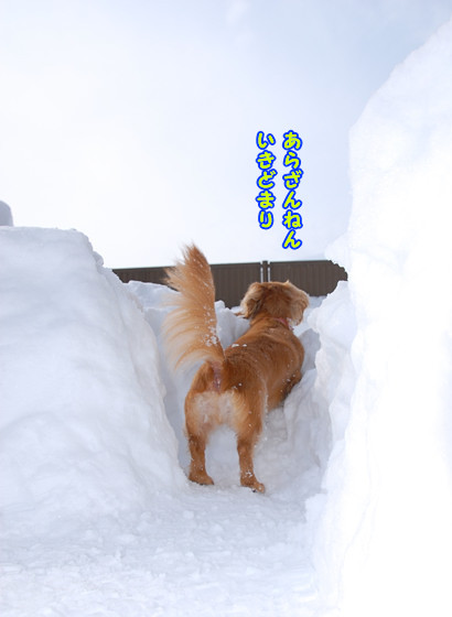 100205_06.jpg