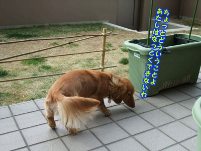 100416_9040.jpg