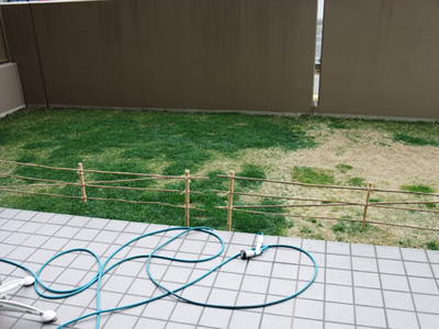 100416_9074.jpg