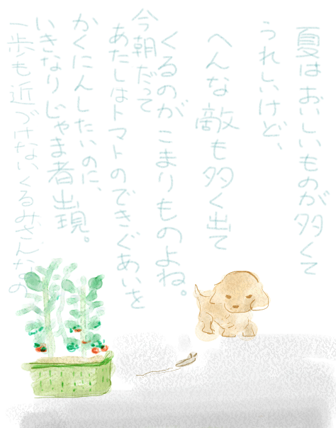 100717.gif