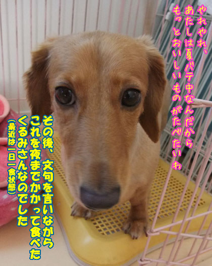 100825~04.jpg