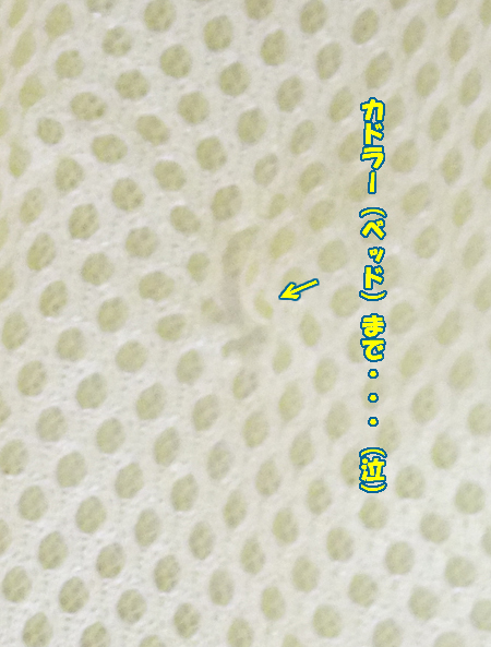 100923~11.jpg