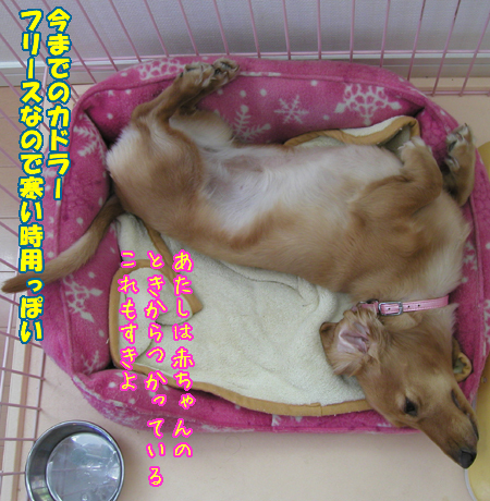 100923~12.jpg