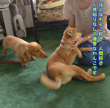 110727~03.jpg