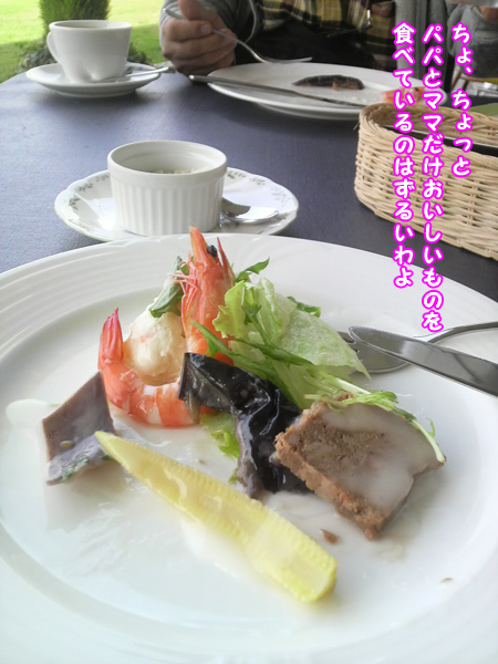 111104~02.jpg