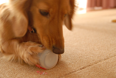 20071219_200.jpg
