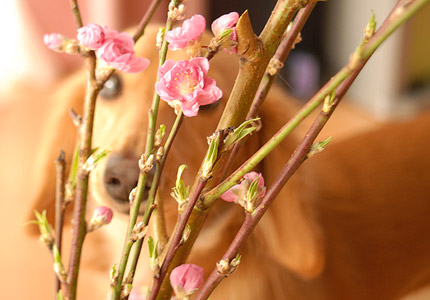 20080307_119.jpg