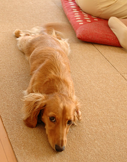 20080902_911.jpg