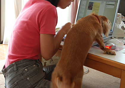 20080905_981.jpg