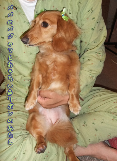 DSCF5389.jpg