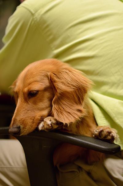DSC_2652.jpg
