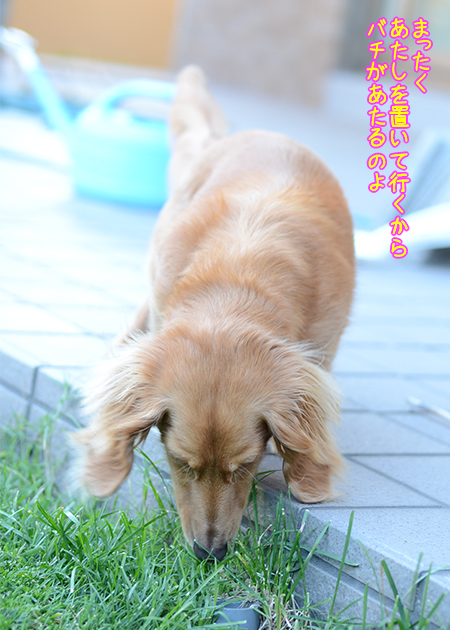 DSC_3107.jpg