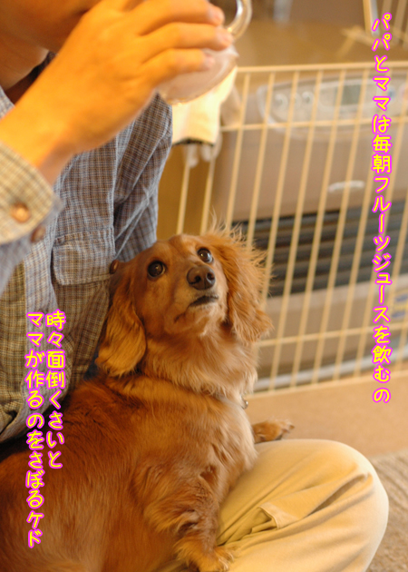 摜1.jpg