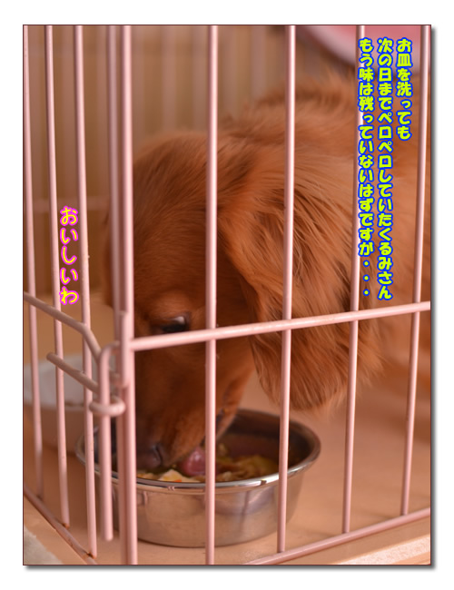摜10.jpg