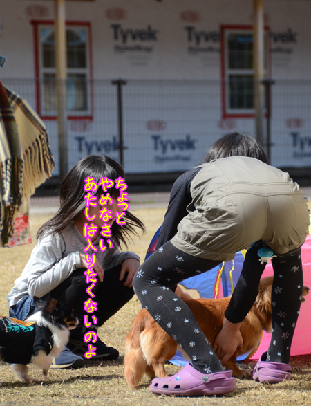 摜10.jpg