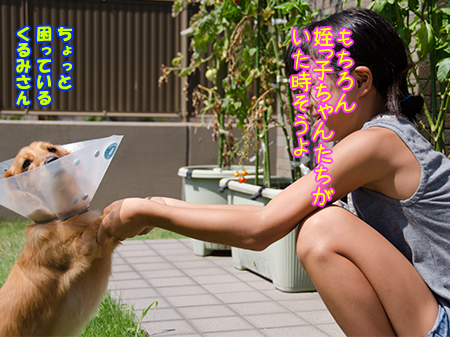 摜2.jpg