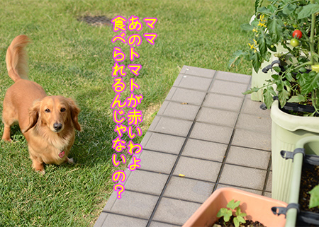 摜3.jpg