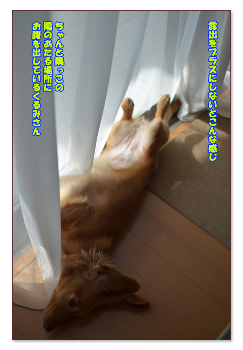 摜4.jpg