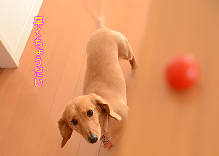 摜4.jpg