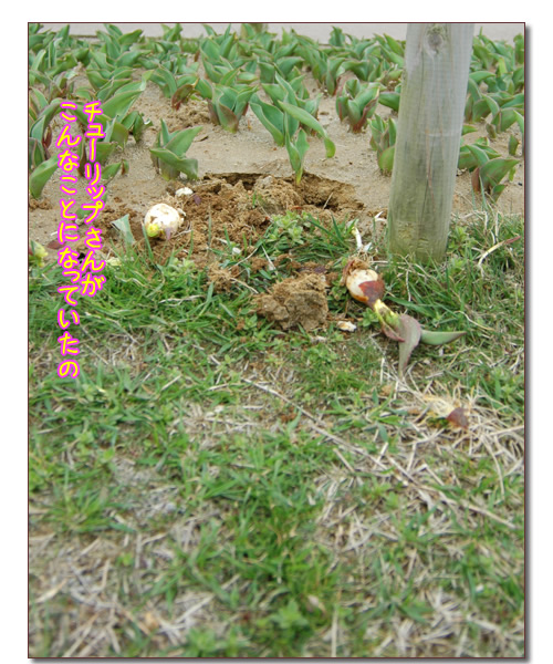 摜5.jpg