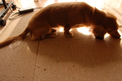 080229_001.JPG