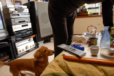 20080101_003.JPG