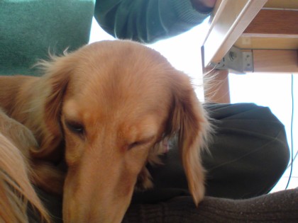 20080308_183.JPG