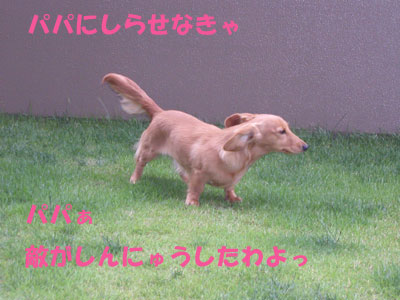 080726~02.jpg