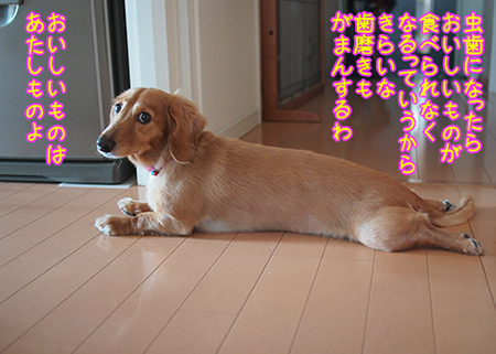 130719~05.jpg
