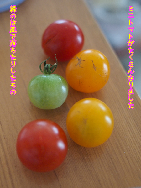 130722~01.jpg