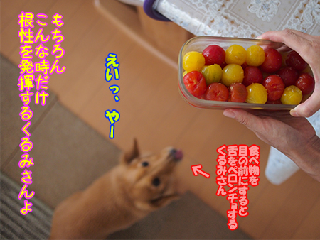 130722~04.jpg