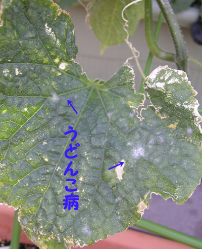 090620~031.jpg