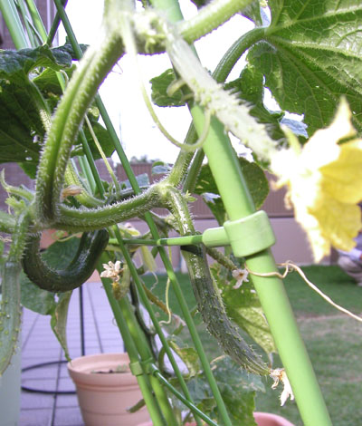 090620~08.JPG